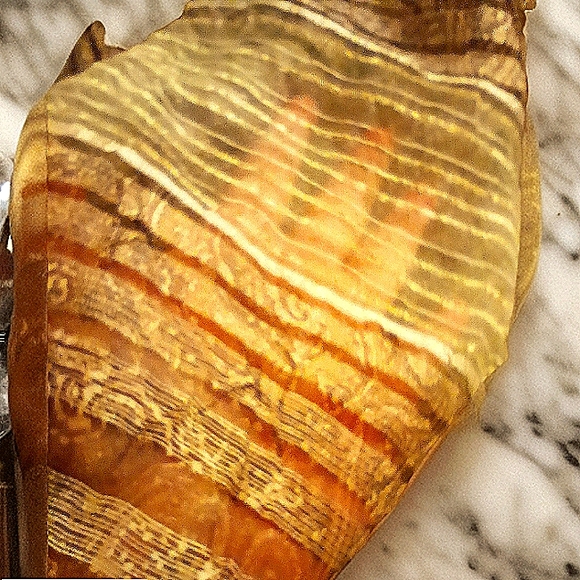 Unleash Your Style with the Pre-Loved West End Long Sleeve Button-Down Shirt - Picture 15 of 16